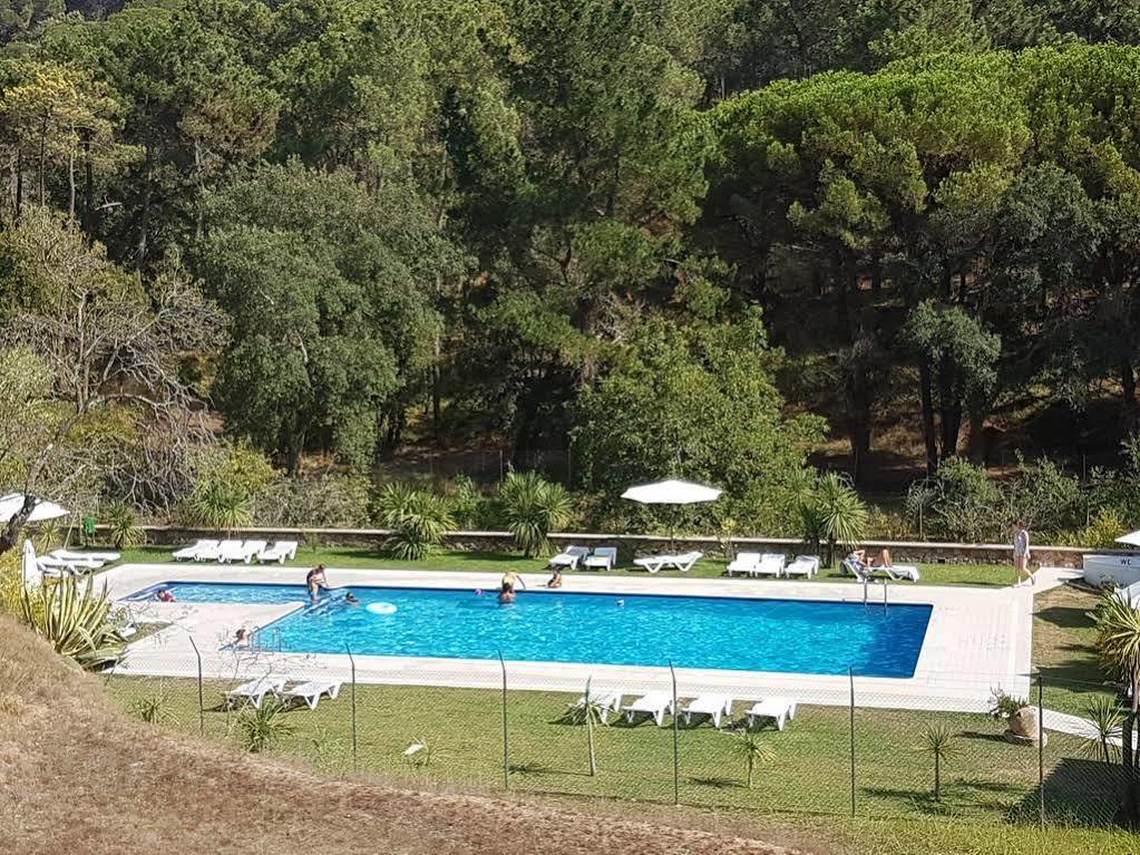Flamingo Hotel Tbilisi Eksteriør bilde